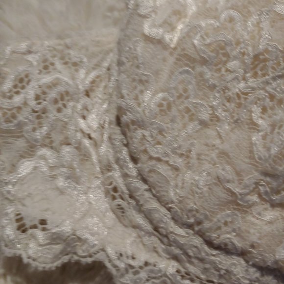 Exilia Ivory Lightly Padded Lace Made in Italy 36A - Picture 8 of 16